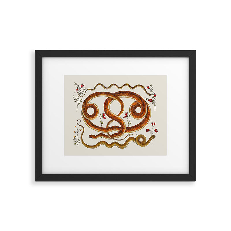 Albertus Seba Snakes Flowers Engraving ii Framed Art Print Gallery Image 5