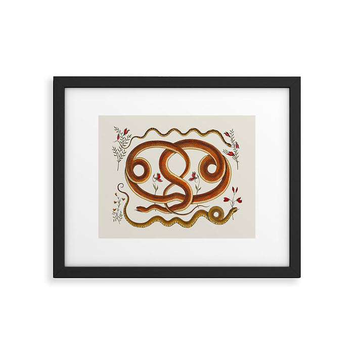 Albertus Seba Snakes Flowers Engraving ii Framed Art Print Gallery Image 1