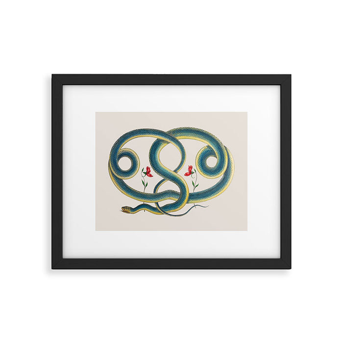 Albertus Seba Snakes Flowers Engraving Framed Art Print Gallery Image 1