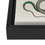 Albertus Seba Snakes Illustration Leopard Snake  Framed Canvas Print Gallery Image 3