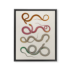 Albertus Seba Snakes Illustration Leopard Snake  Framed Canvas Print Gallery Image 6