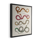 Albertus Seba Snakes Illustration Leopard Snake  Framed Canvas Print Gallery Image 2