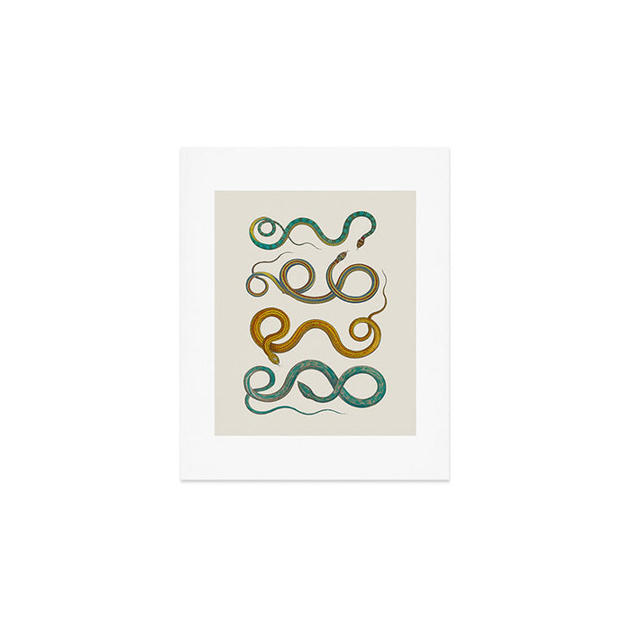 Albertus Seba Snakes Illustration Teal And Yellow Scales Art Print Gallery Image 1