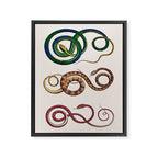 Albertus Seba Three Snakes Illustration  Framed Canvas Print Gallery Image 6