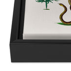 Albertus Seba Three Snakes Illustration Locupletissimi rerum naturalium thesauri accurata descriptio Framed Canvas Print Gallery Image 3