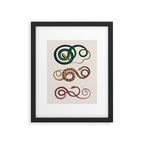 Albertus Seba Three Snakes Illustration  Framed Art Print Gallery Image 5