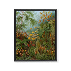 Art Forms of Nature - Ernst Haeckel - 1899-1904  Framed Canvas Print Gallery Image 6