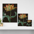 Barbara Regina Dietzsch - Tulip with butterfly and maize - before 1783 Canvas Print Gallery Image 3