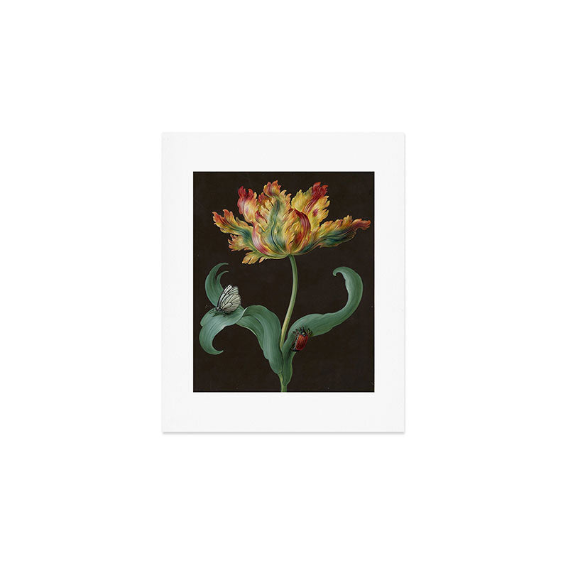 Barbara Regina Dietzsch - Tulip with butterfly and maize - before 1783 Art Print Gallery Image 1
