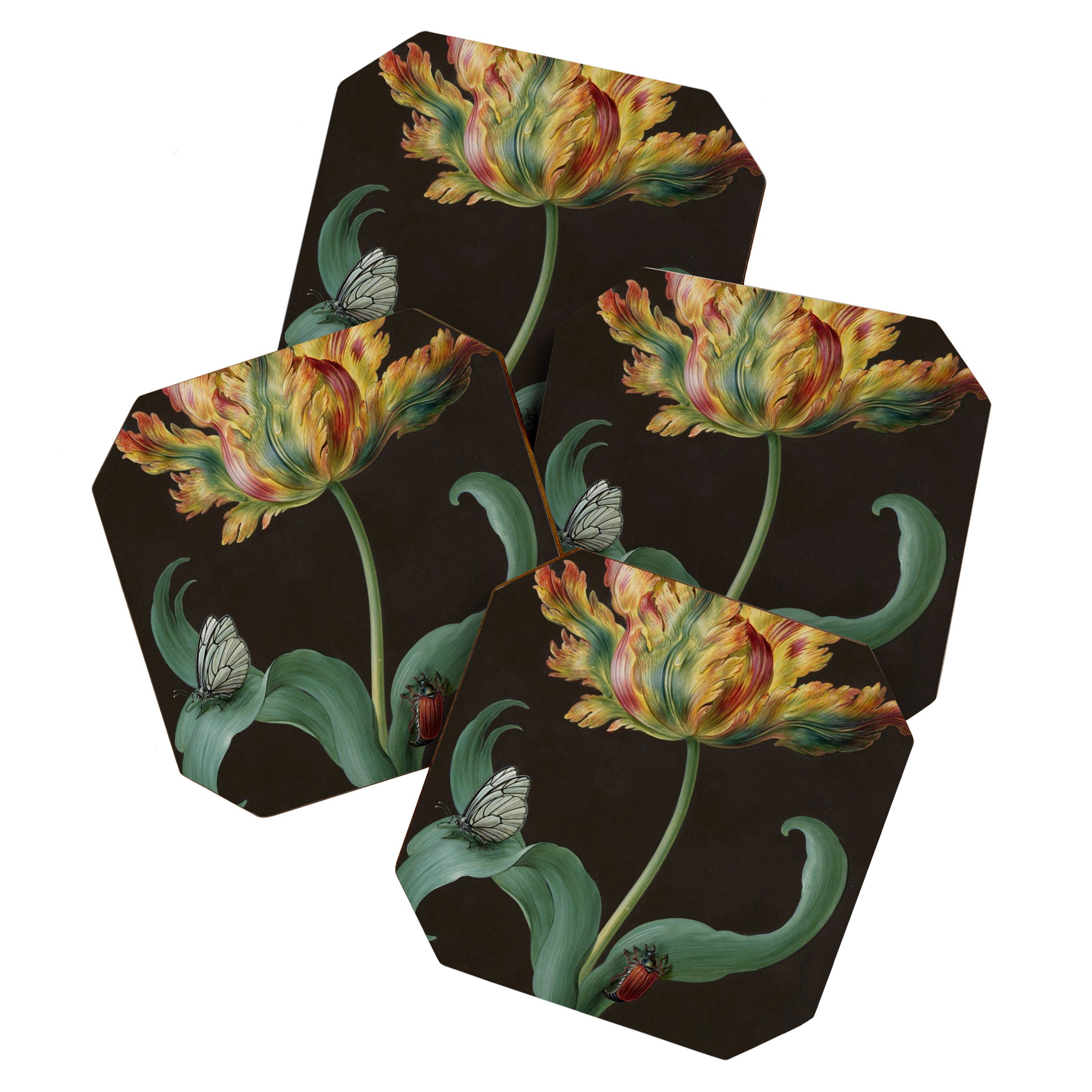 Barbara Regina Dietzsch - Tulip with butterfly and maize - before 1783 Coaster Gallery Image 1