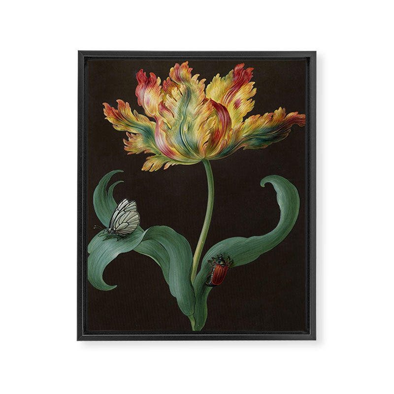Barbara Regina Dietzsch - Tulip with butterfly and maize - before 1783 Framed Canvas Print Gallery Image 6