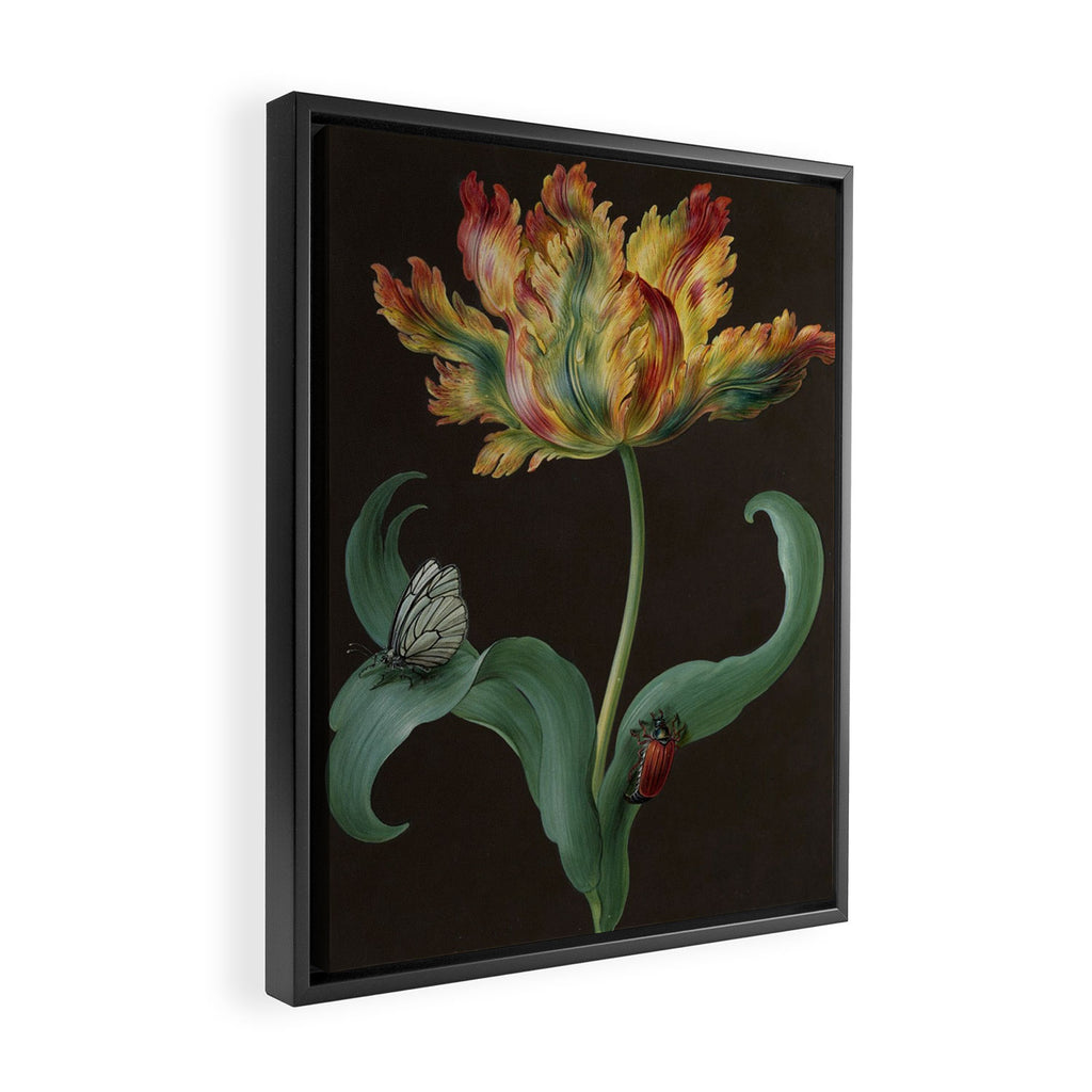 Barbara Regina Dietzsch - Tulip with butterfly and maize - before 1783 Framed Canvas Print Gallery Image 2