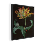 Barbara Regina Dietzsch - Tulip with butterfly and maize - before 1783 Framed Canvas Print Gallery Image 2
