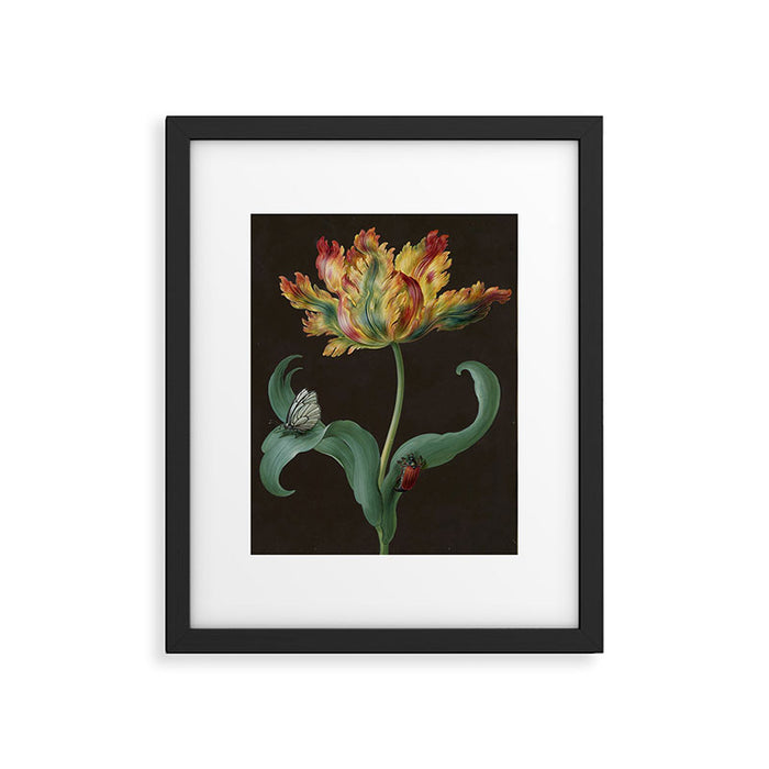 Barbara Regina Dietzsch - Tulip with butterfly and maize - before 1783 Framed Art Print Gallery Image 1