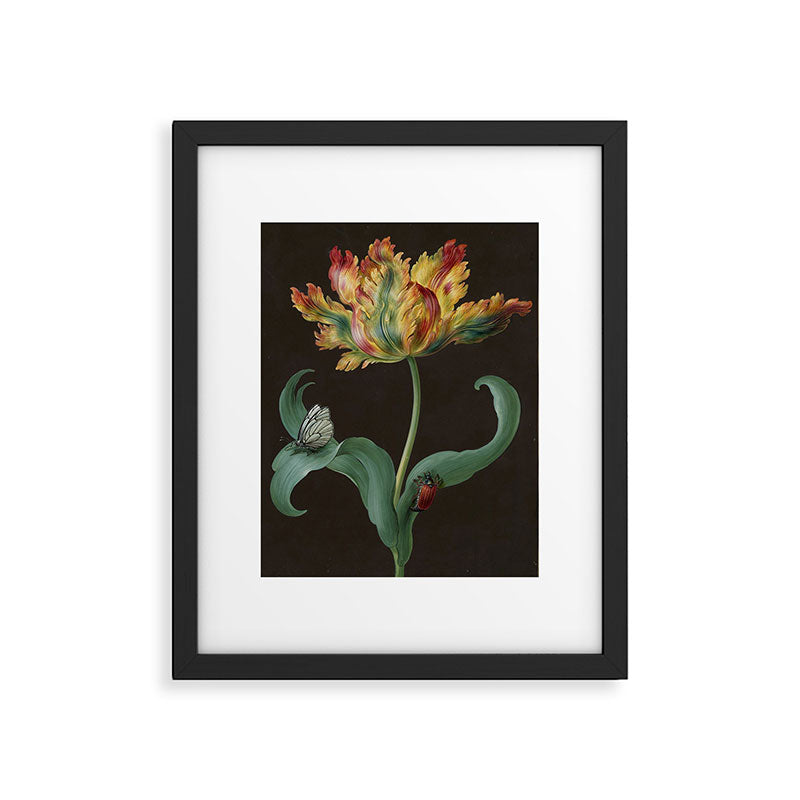 Barbara Regina Dietzsch - Tulip with butterfly and maize - before 1783 Framed Art Print Gallery Image 5