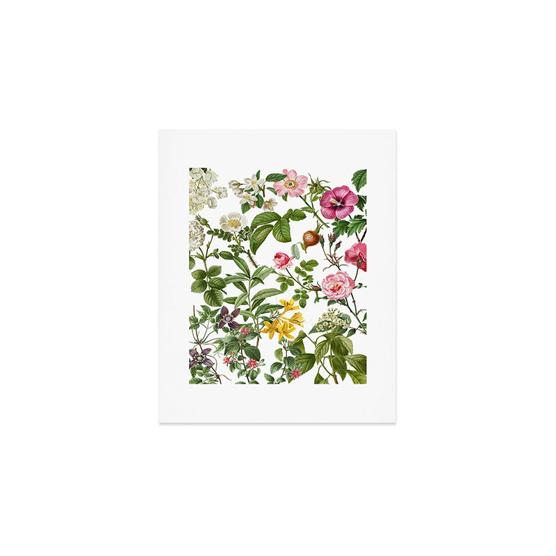 Bonnie Botanical Bloom  Art Print Gallery Image 1