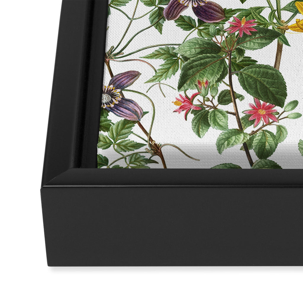 Bonnie Botanical Bloom  Framed Canvas Print Gallery Image 3