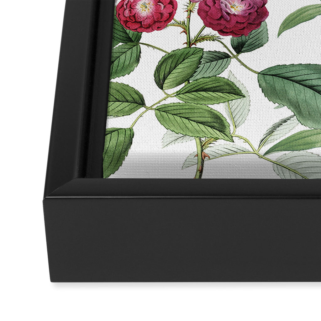 Botanical Plethora Framed Canvas Print Gallery Image 3