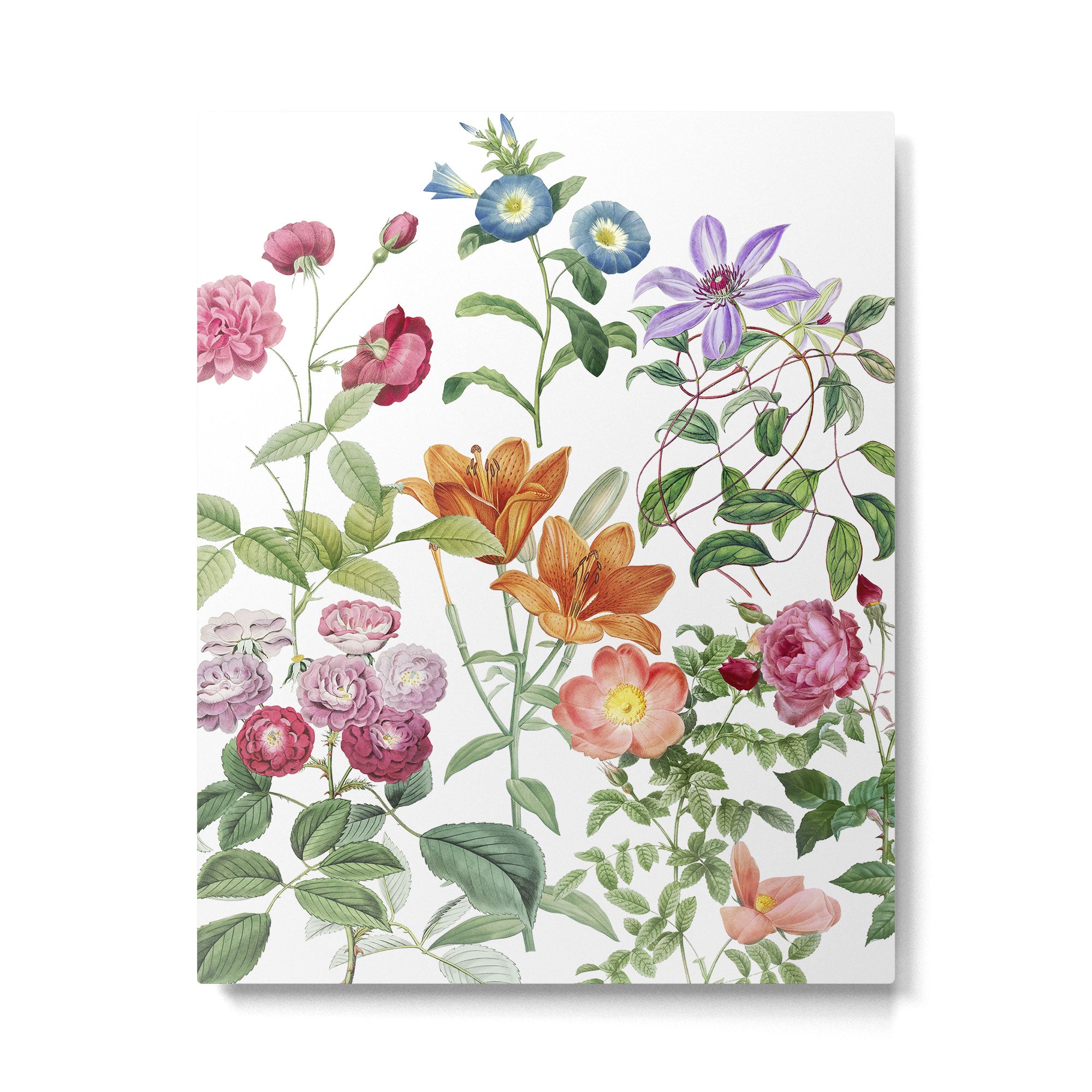 Botanical Plethora Metal Print Gallery Image 4