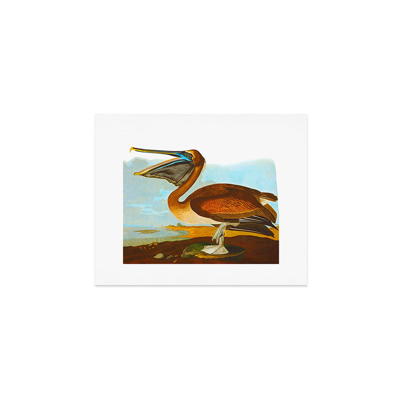 Brown Pelican Illustration Art Print Gallery Image 1