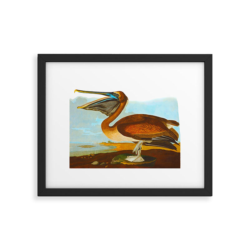Brown Pelican Illustration Framed Art Print Gallery Image 5