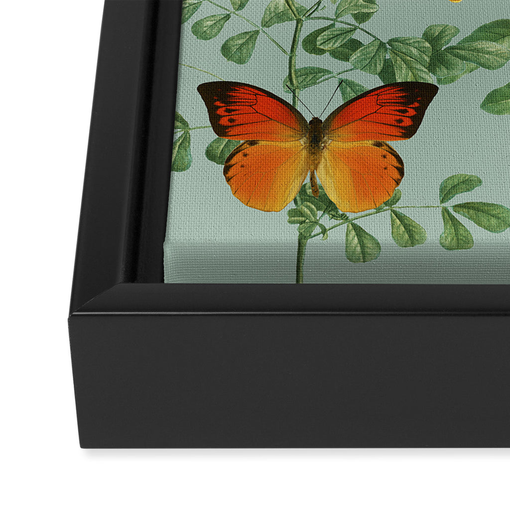 Butterfly Fling Framed Canvas Print Gallery Image 3