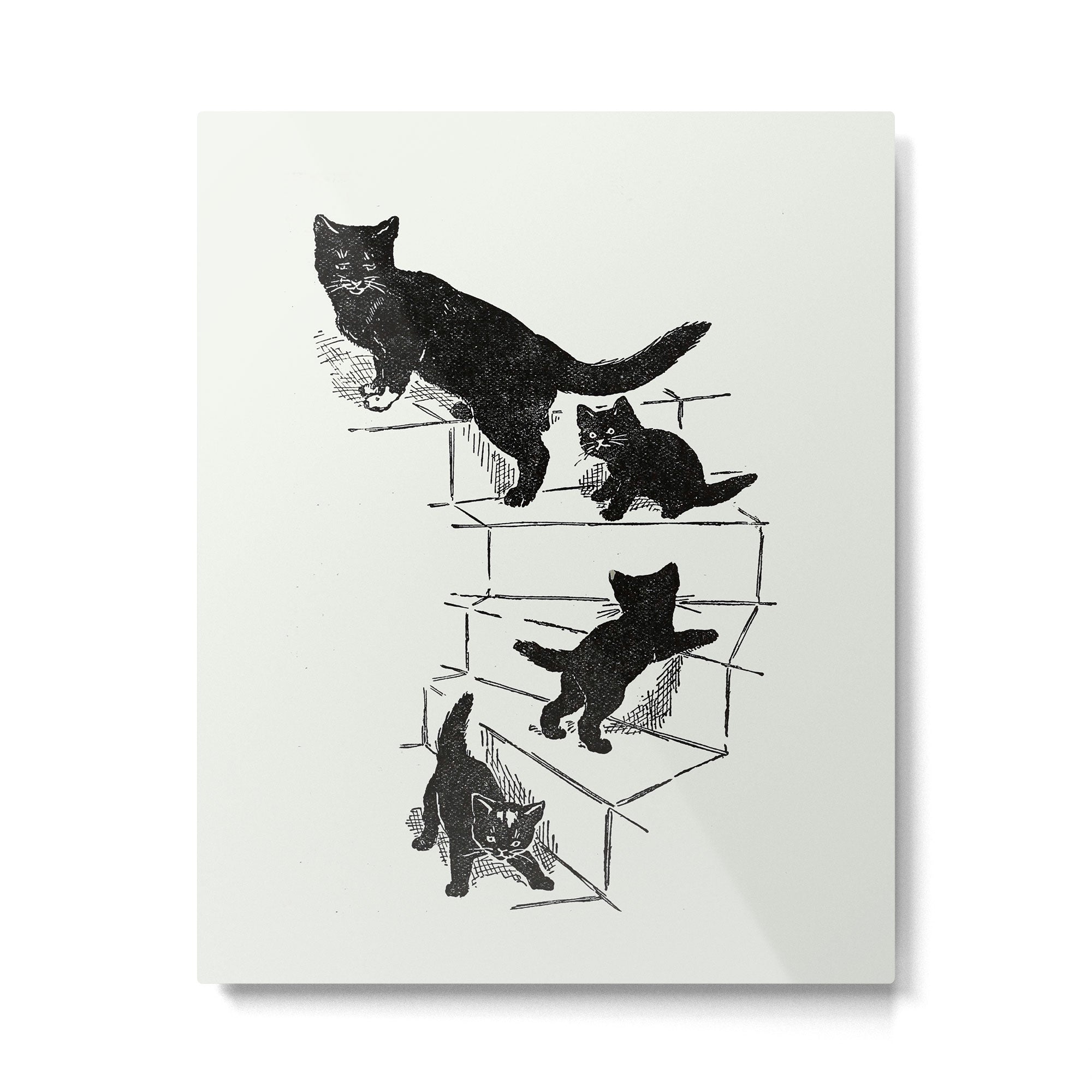 Cat With Kitten On Stairs Metal Print Gallery Image 4
