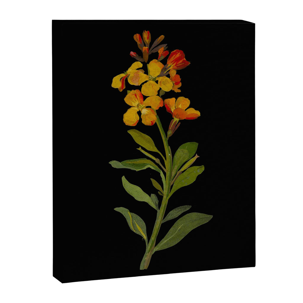 Cheiranthus Cheiri  by Mary Delany Paper Collage Floral Flower Botanical Paper Mosaic Vintage Scientific Plant Anatomy Canvas Print Gallery Image 6