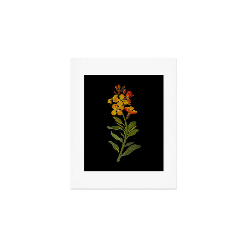 Cheiranthus Cheiri  by Mary Delany Paper Collage Floral Flower Botanical Paper Mosaic Vintage Scientific Plant Anatomy Art Print Gallery Image 1