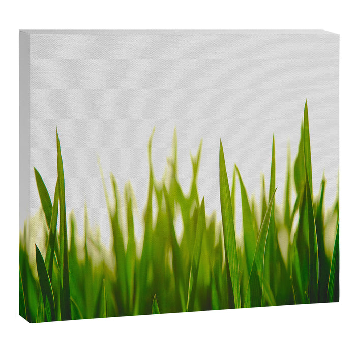 Close Up Of Green Blades Of Grass Canvas Print Gallery Image 1