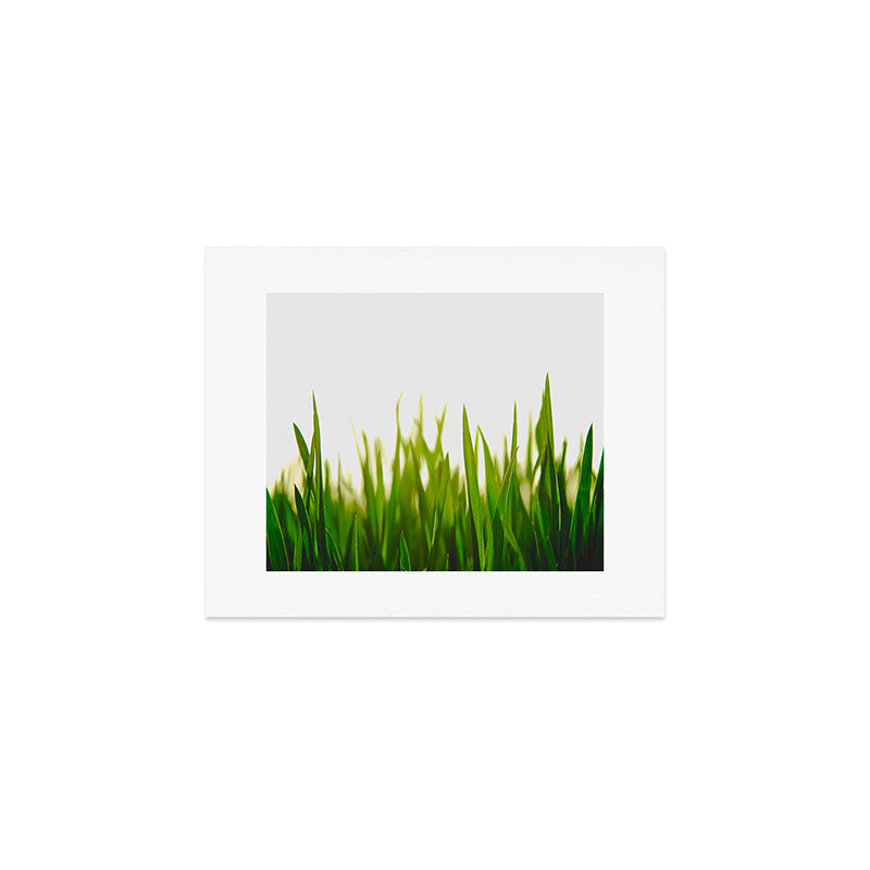 Close Up Of Green Blades Of Grass Art Print Gallery Image 1