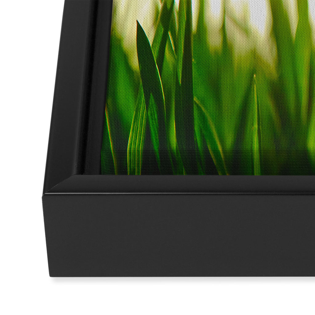 Close Up Of Green Blades Of Grass Framed Canvas Print Gallery Image 3