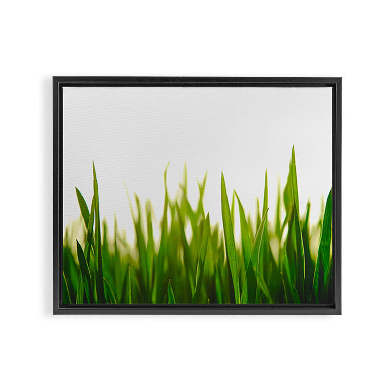 Close Up Of Green Blades Of Grass Framed Canvas Print Gallery Image 2