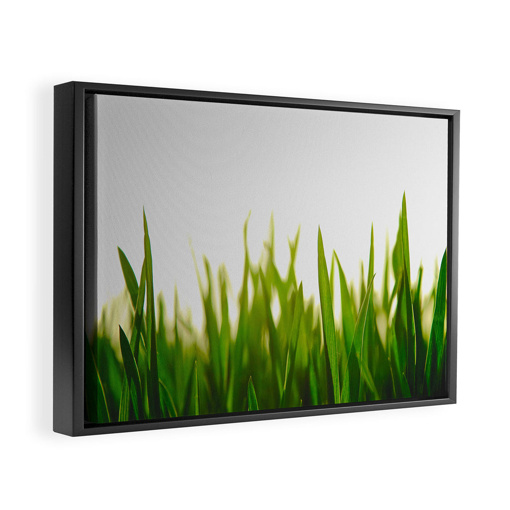 Close Up Of Green Blades Of Grass Framed Canvas Print Gallery Image 6