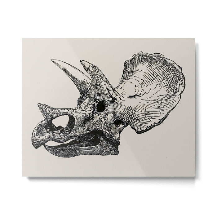 Dinosaur Skeleton Ink Pen Illustration Triceratops Metal Print Gallery Image 1