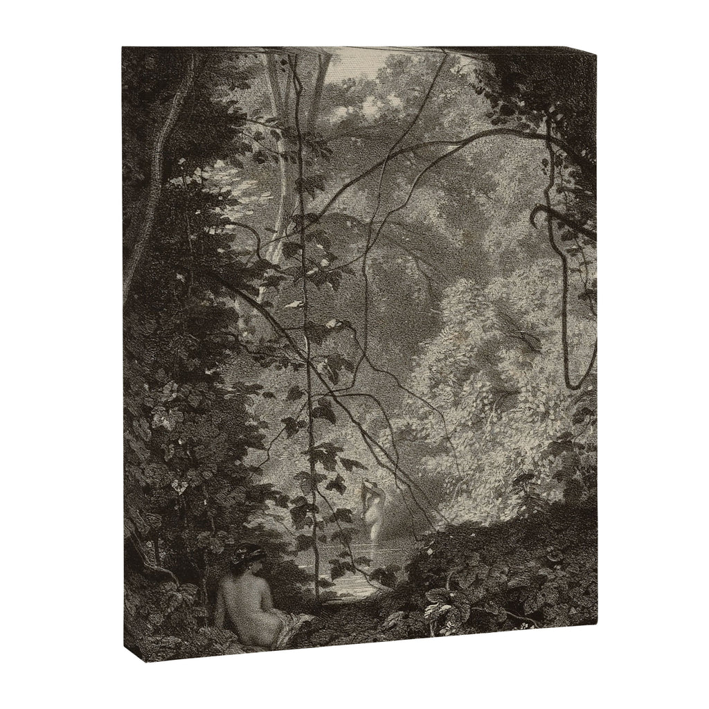 Forest Sirens Canvas Print Gallery Image 6