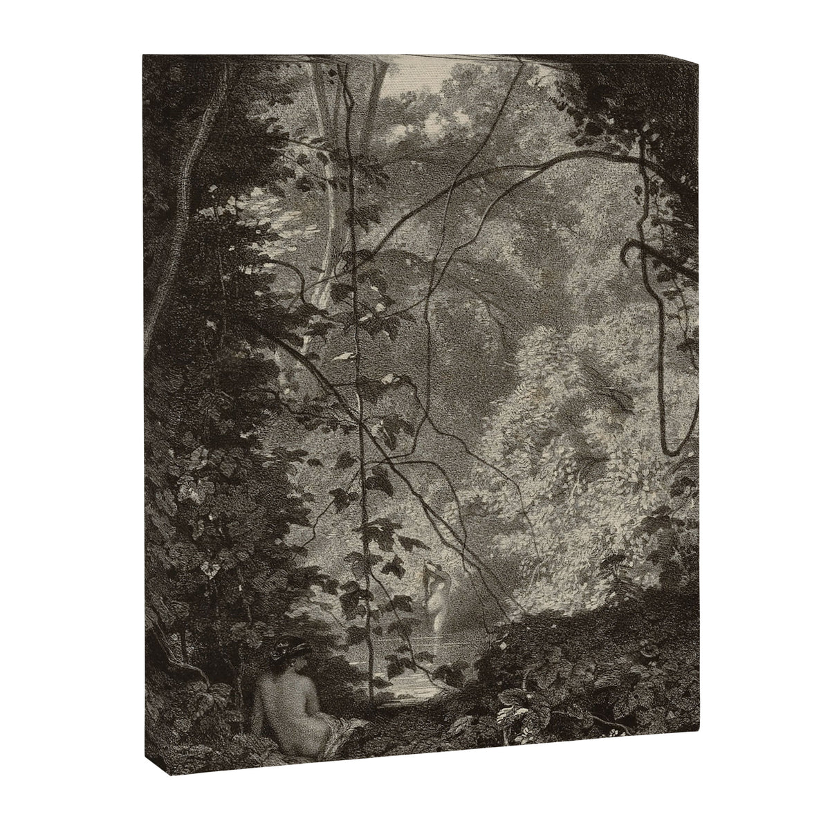 Forest Sirens Canvas Print Gallery Image 6