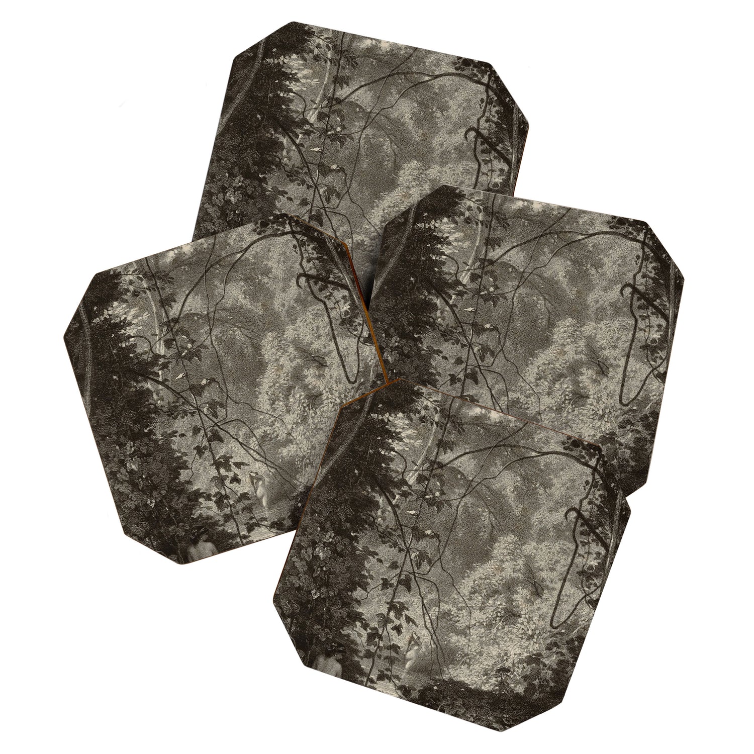 Forest Sirens Coaster Gallery Image 1