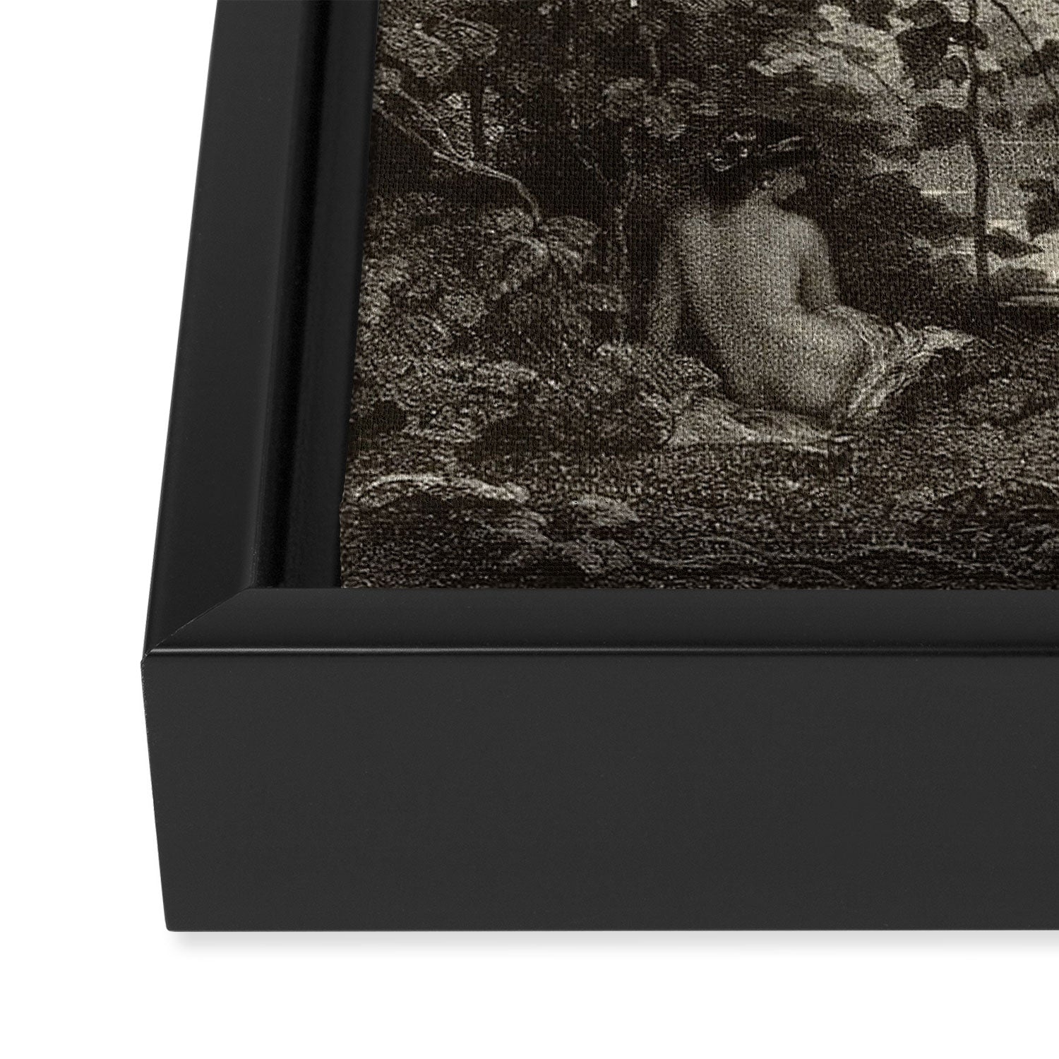 Forest Sirens Framed Canvas Print Gallery Image 3