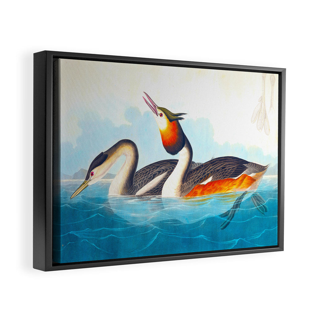 Great Crested Grebe Bird Framed Canvas Print Gallery Image 6