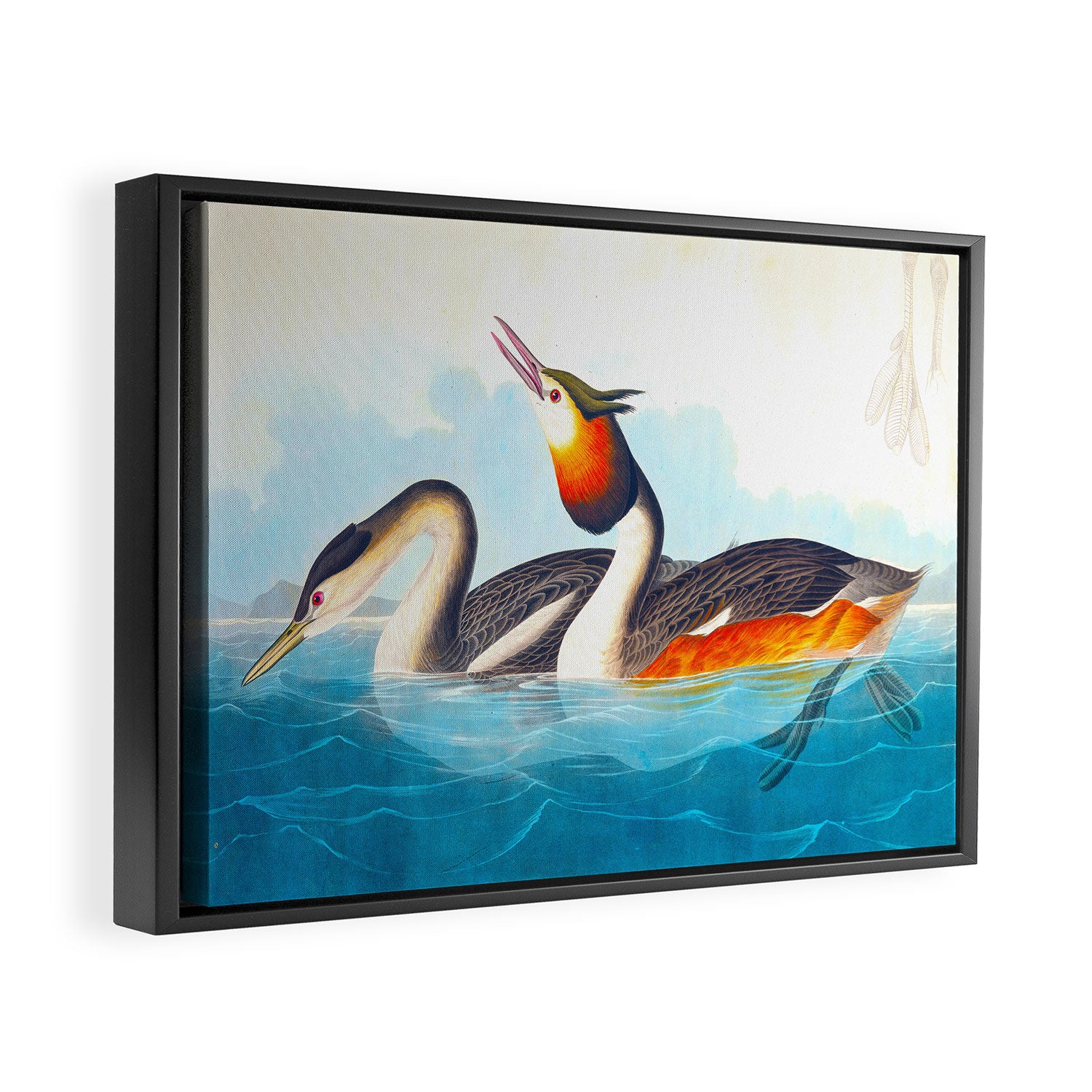 Great Crested Grebe Bird Framed Canvas Print Gallery Image 6