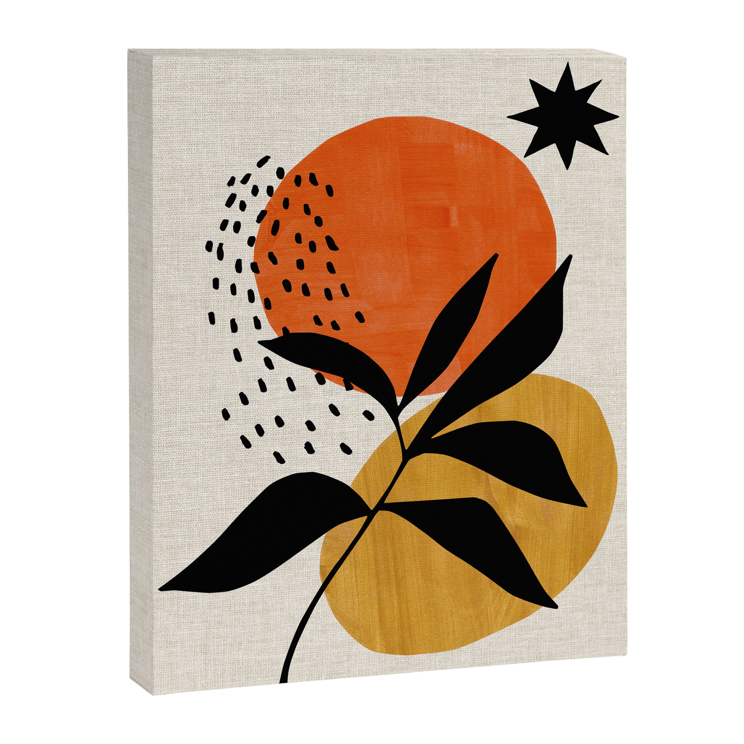 Healing Star Canvas Print Gallery Image 6