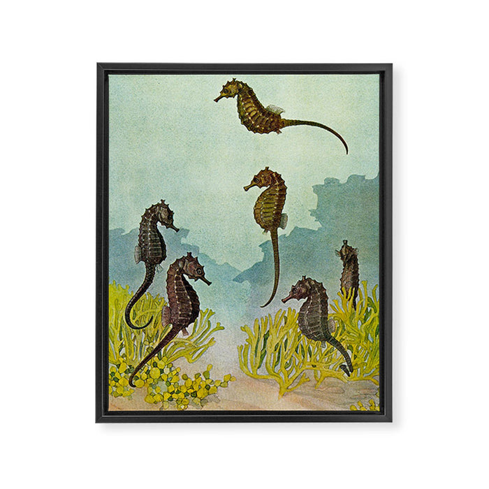 Hippocampus - Hashime Murayama - 1920 Seahorse Illustration Marine Life Framed Canvas Print Gallery Image 1