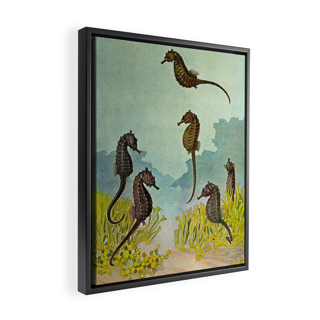 Hippocampus - Hashime Murayama - 1920 Seahorse Illustration Marine Life Framed Canvas Print Gallery Image 2