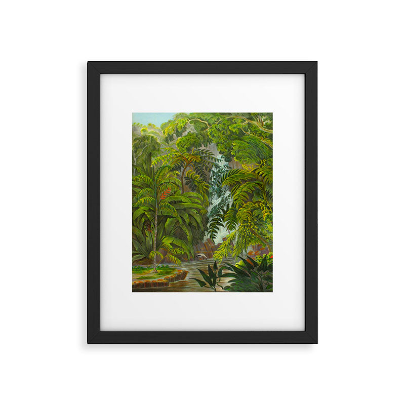 Historia naturalis palmarum - Carl Friedrich Philipp von Martius - c.1836-1850 Framed Art Print Gallery Image 5