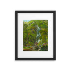 Historia naturalis palmarum - Carl Friedrich Philipp von Martius - c.1836-1850 Framed Art Print Gallery Image 5