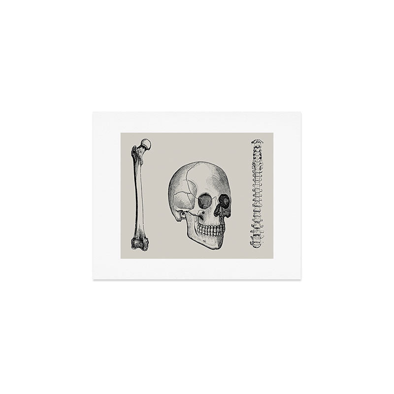 Illustrated and priced catalogue of superior surgical instruments Skull Sapine Ink Illustration Art Print Gallery Image 1