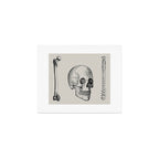Illustrated and priced catalogue of superior surgical instruments Skull Sapine Ink Illustration Art Print Gallery Image 1