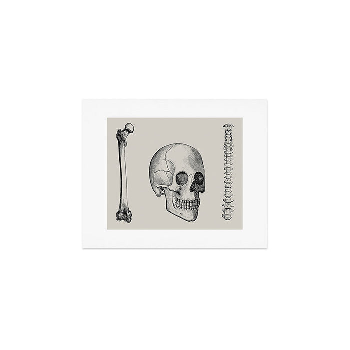 Illustrated and priced catalogue of superior surgical instruments Skull Sapine Ink Illustration Art Print Gallery Image 1