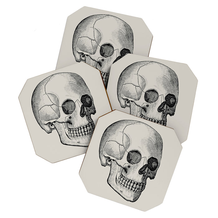 Illustrated and priced catalogue of superior surgical instruments Skull Sapine Ink Illustration Coaster Gallery Image 1